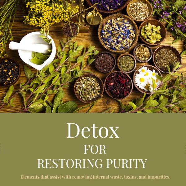 DETOXIFYING DEPURATOR